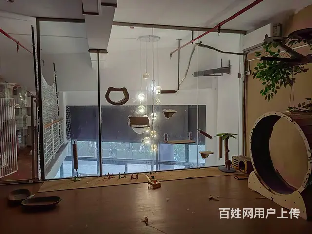 （51旺铺推荐）保利中央海岸熙园150平宠物店转让 - 图片 5