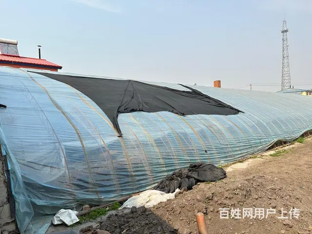 平房大院出租 - 图片 9
