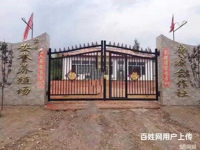 宾县城区万发屯养殖场出租出售 - 图片 4