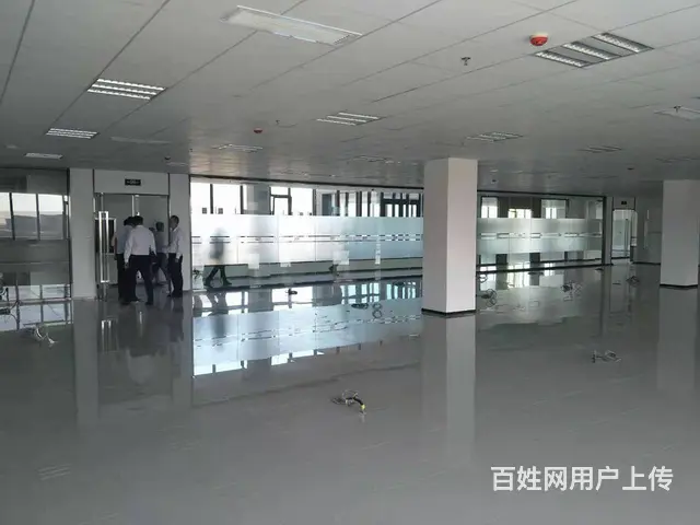 浑南丨软件园丨580平丨花园办公纯写丨沈本大道丨可租可售 - 图片 5