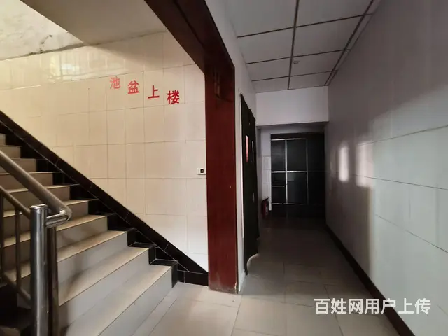 焦东路小学北校区十七中 北环路岗庄独院 - 图片 2