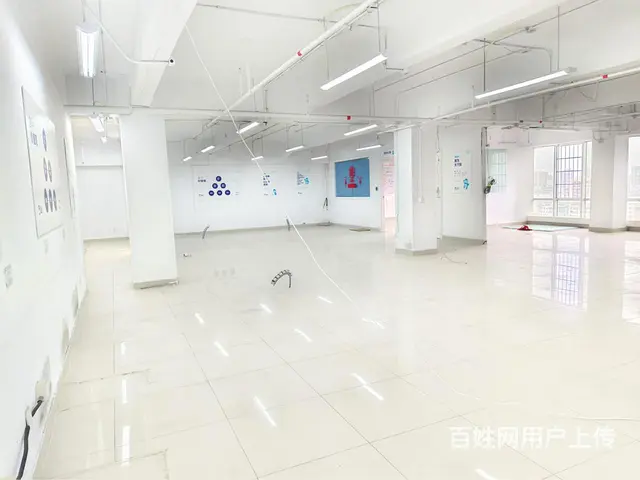 （高层）实用240平，户型方正，开间； - 图片 8