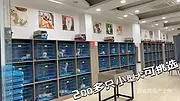 秦皇岛养狗基地直销斑点狗 品种齐全支持本地上门全国发货