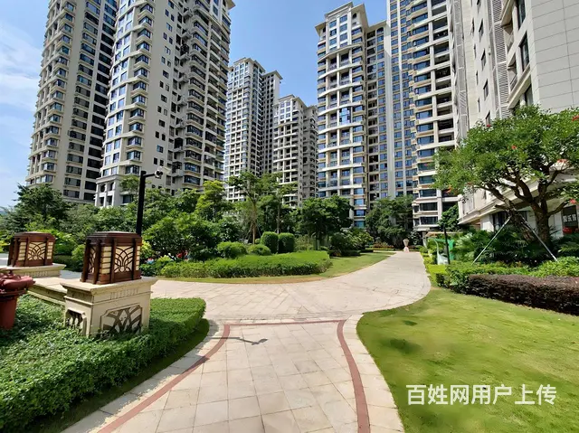 笋盘急售！荔枝湾两房（全新未住 各付各税）价格可谈 - 图片 8