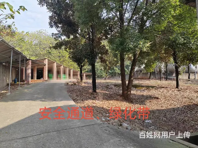 （老板本人）雨花区时代阳光大道附近厂房场地整体  5707 - 图片 10