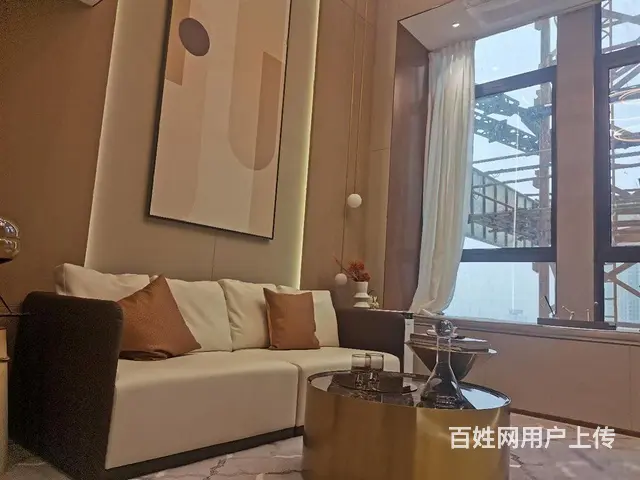 开年特价湖塘吾悦旁康养级loft公寓挑高4.5买一得二民水电 - 图片 7