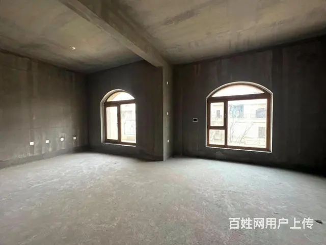 翠湖边户别墅 中间位 超大花园 双车库 室内电梯 没税 - 图片 4