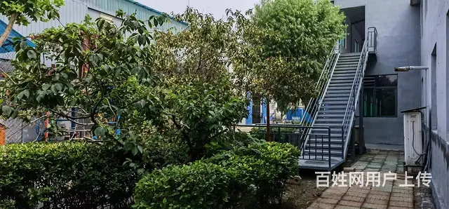 淄博花园式厂房房东直租 - 图片 4