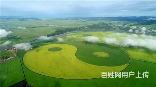 呼伦贝尔额尔古纳呼伦贝尔旅游包车车队呼伦贝尔现在包车什么价格 - 图片 2