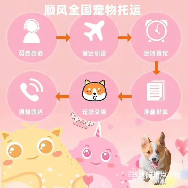 2022常州市宠物托运/邮寄快递运输（猫狗）（宠物活体托运新 - 图片 2