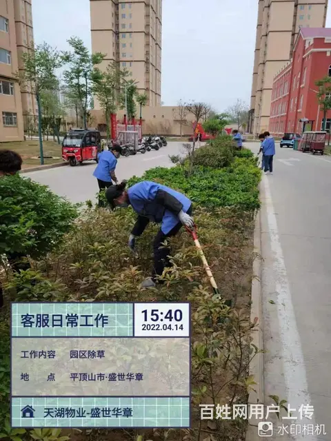 盛世华章新房出售 - 图片 6