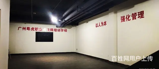 狗狗训练宠物上学训犬学校训犬师 - 图片 3
