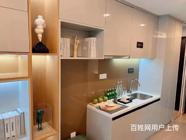 精装特惠红梅公园弘阳26万起的公寓水电民用楼下弘阳广场 - 图片 3