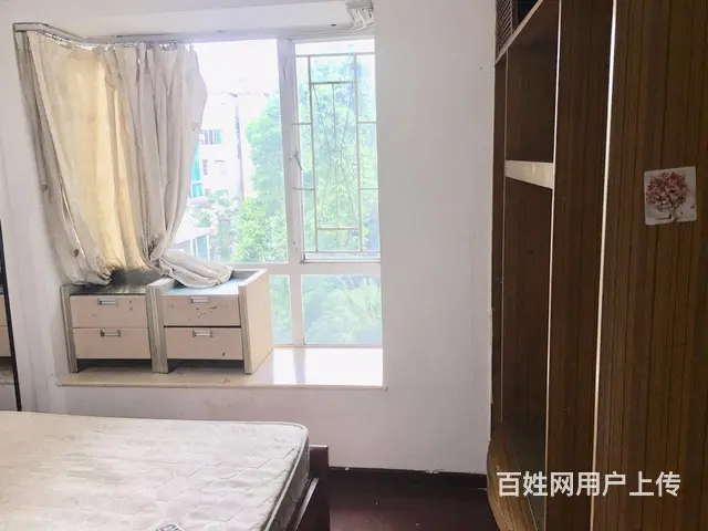 白天鹅花园D栋 朝花园 是你呀磨人谋略 是那样迷人 - 图片 9