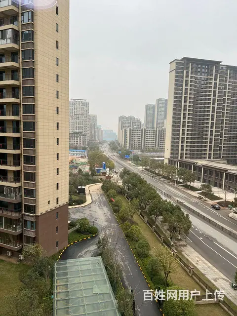 八里湖九江小学旁 精装loft公寓出租 - 图片 6