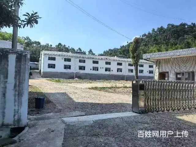 （老板本人）宁乡金洲区正规厂房办公楼出租  6330 - 图片 2