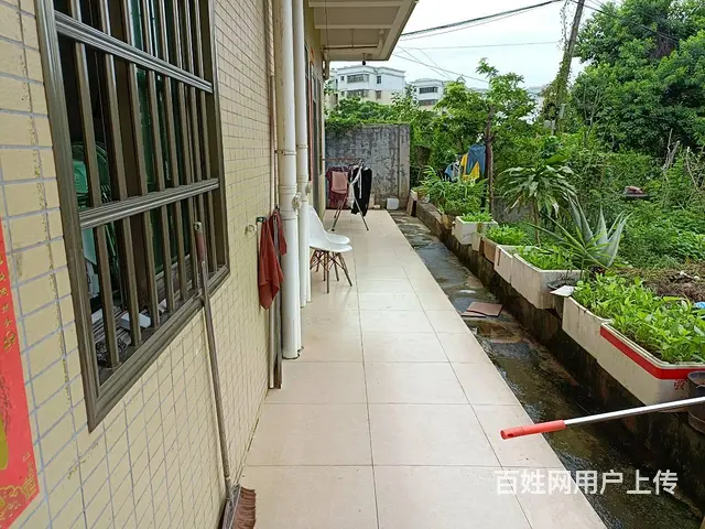 （51旺铺推荐）桂林洋兴洋大道270平铺面房东直租 - 图片 12