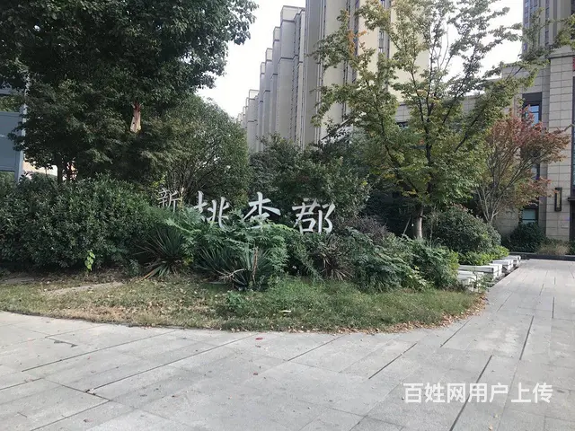 急售武进区湖塘新城郡未来售楼处（商业独栋）豪华装修！ - 图片 12