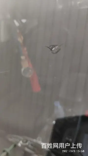 日照汽车专业玻璃修复，凹造修复 - 图片 2