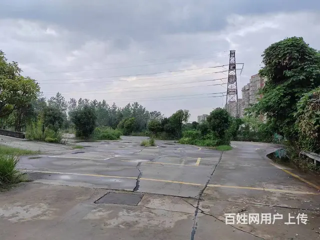 （老板本人）雨花区汽车南站水泥硬化空地招租（可分租）5972 - 图片 5