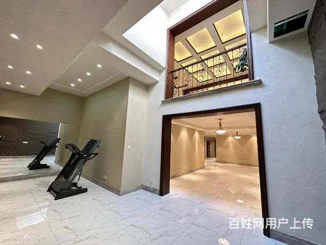 捡漏外滩   1带2层 下叠 共四层 带车位 赠花园 - 图片 5