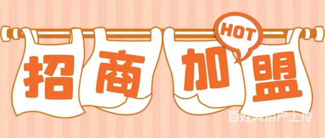 拼多多单类目精细化玩法，23年新年福利，工作室必学 - 图片 3