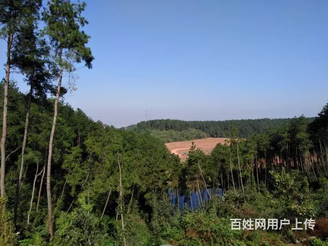 松鹤养老院 - 图片 8
