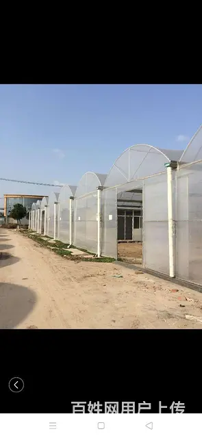 连栋保温大棚整体场地出售 - 图片 1