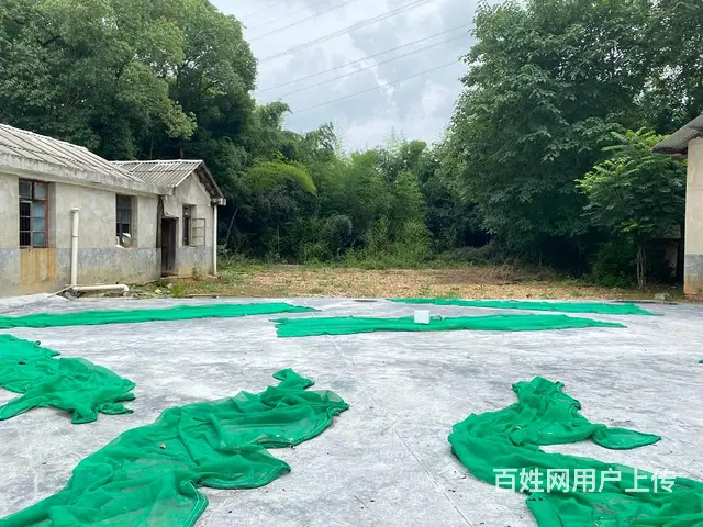 (房东直租)榔梨东六路旁800一3000平场地出租，已硬化 - 图片 4