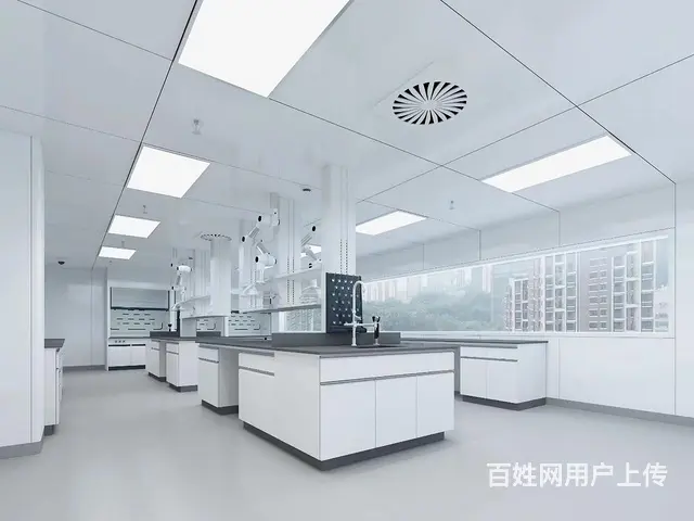 钢木边台中央台化学操作台不锈钢洁净台通风柜 - 图片 5