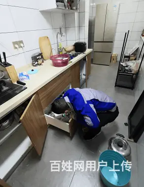 睢阳消毒公司电话专业提供除蚊蝇公司 - 图片 3
