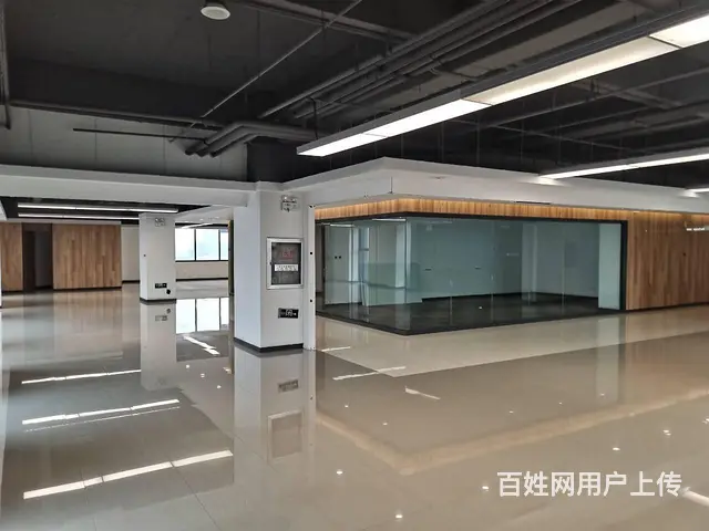 地铁口100米 沈阳国际软件园甲方直租 沈阳浑南写字间 - 图片 9
