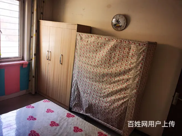 【搞定了！】一楼60南北套出租 - 图片 8
