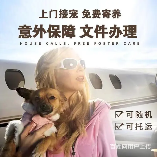 吉林周边宠物托运（猫狗活体快递）陆运 空运至全国 - 图片 2