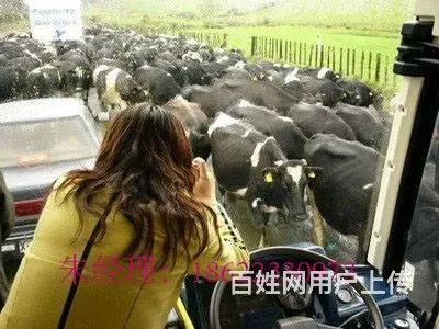 正规出国劳务（工签实力保签）年薪60万 - 图片 7