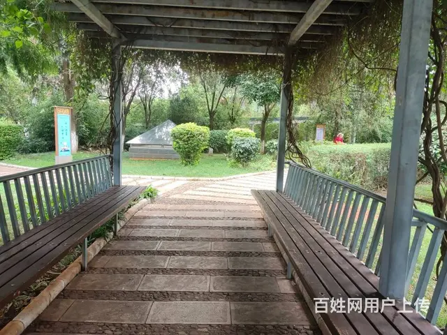 都市经典 公寓 精装修 - 图片 3
