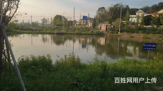 （个人发布）长沙县浔龙河生态艺术小镇旁优质钓鱼场地出租 - 图片 5