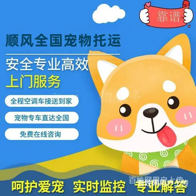2022常州市宠物托运/邮寄快递运输（猫狗）（宠物活体托运新 - 图片 4