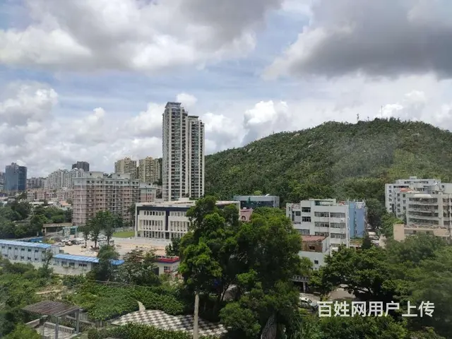 九洲港码头旁 莱茵半岛 精装2房 拎包随时就可以入住 - 图片 10