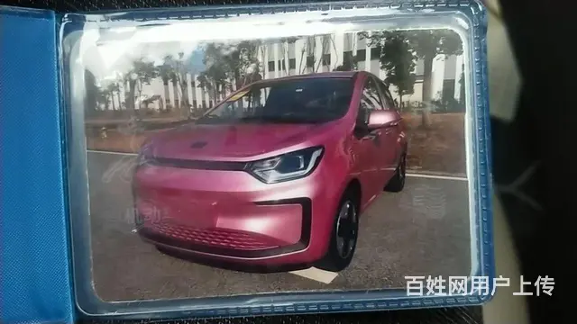 江淮思酷花仙子 - 图片 2