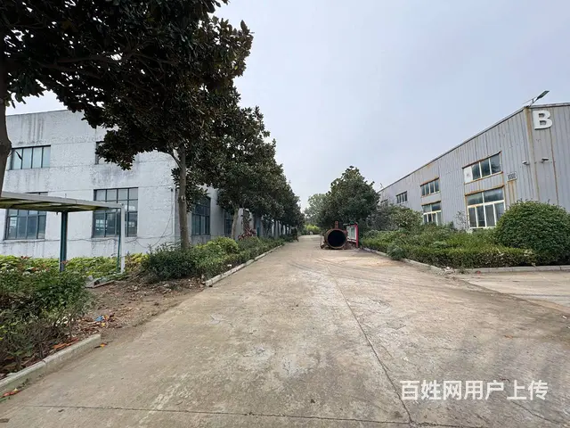 （徐州找店网）新沂开发区标准厂房出租 - 图片 3