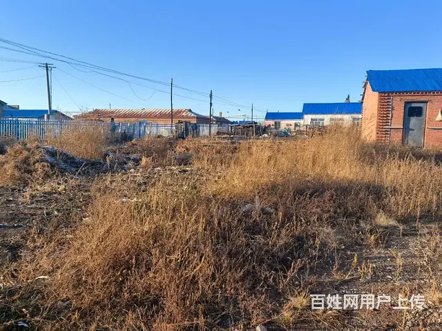 西岗子镇 230 平 15.6 万 1560 平院子 - 图片 8