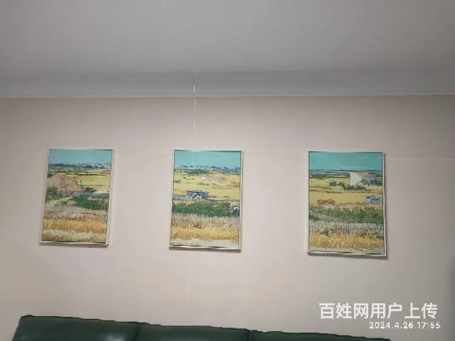 挂画婚纱照电视挂架钻眼打孔 电路维修灯具安装 - 图片 5