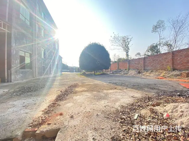 (房东直租)干衫黄江公路旁400平厂房,1000平空坪出租 - 图片 9