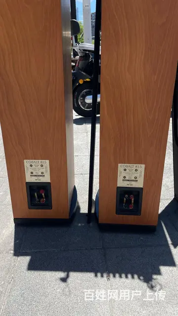 法国劲浪815发烧音箱+马来西亚安桥SR608功放 - 图片 9
