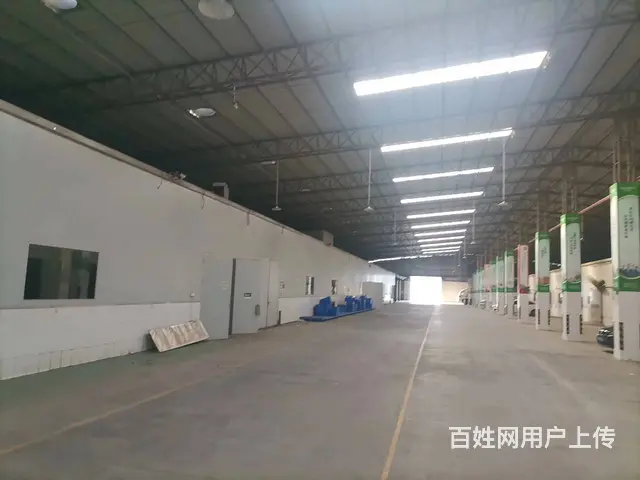 出租：1托盘起租 广州17000方平仓 提供长租、短租服务 - 图片 3