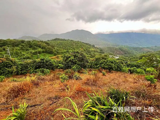 从化区温泉旅游区附近70亩果园休闲庄园整体转让 - 图片 3