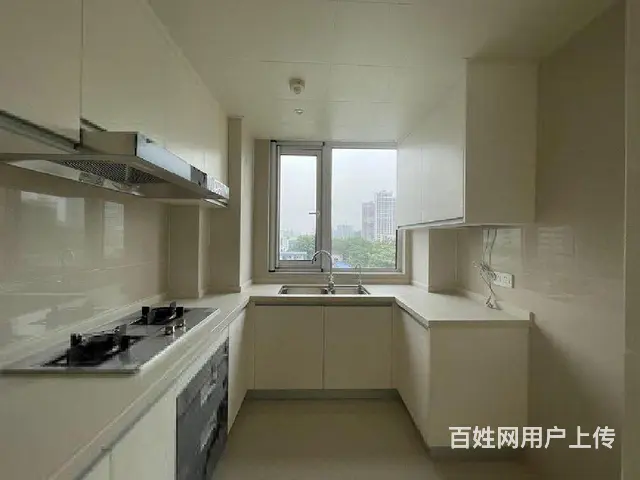 好位置!好房子!南滨江新希望拥潮府全新装修送家电! - 图片 2
