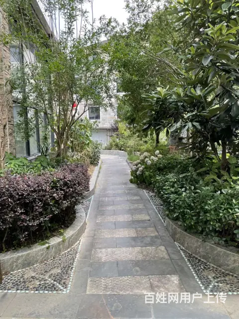 新安博林山庄 别墅 毛坯房 - 图片 7
