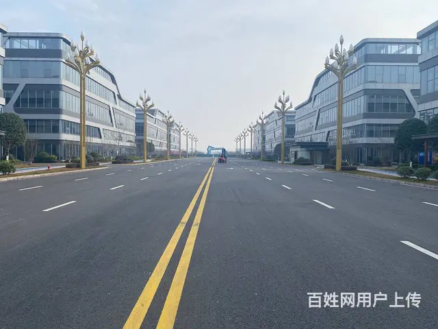 非中介，免3年政策，成新蒲路边（厂房出租出售 - 图片 8